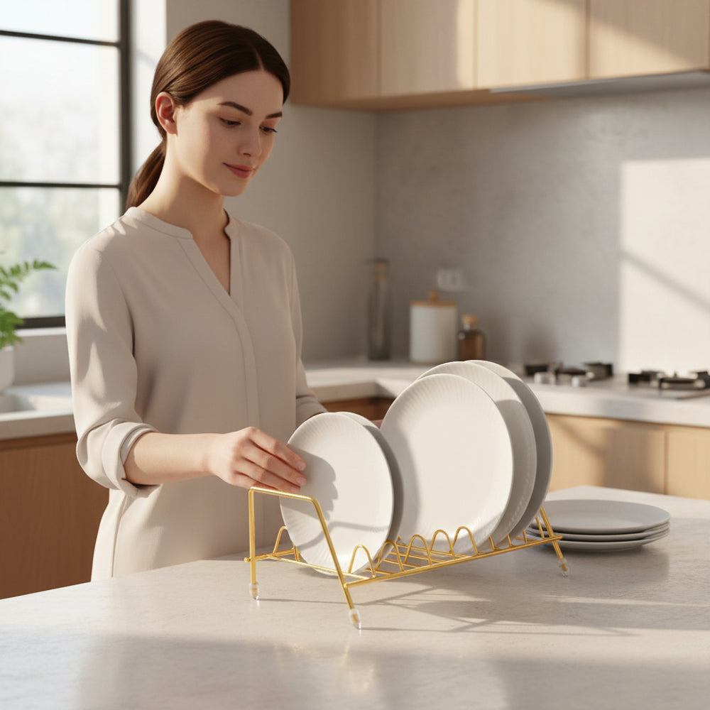 حامل أطباق ستانلس ستيل 6 أطباق 24 × 13 × 13 سم
