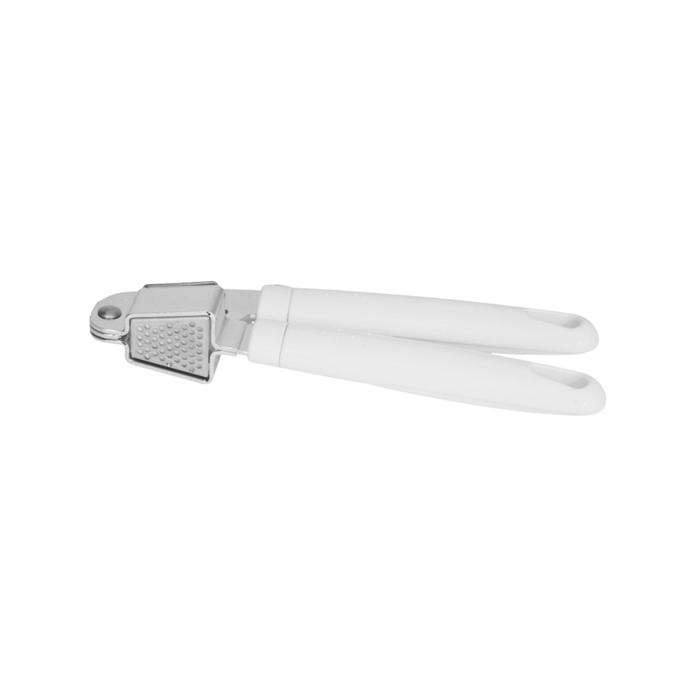 Stainless steel garlic press with plastic handle