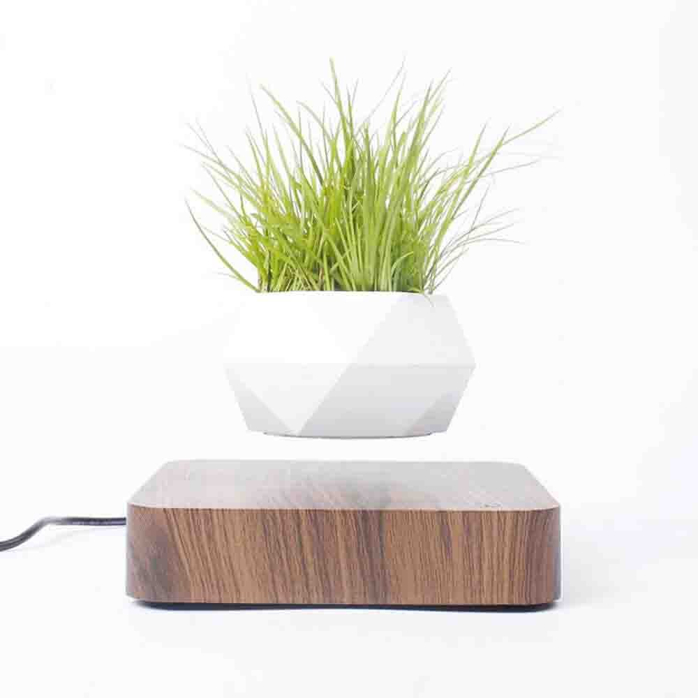 Plant pot with magnetic levitation unit