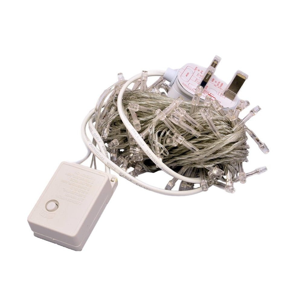 100 LED White String Lights for Garden and Party Decorations 220V
