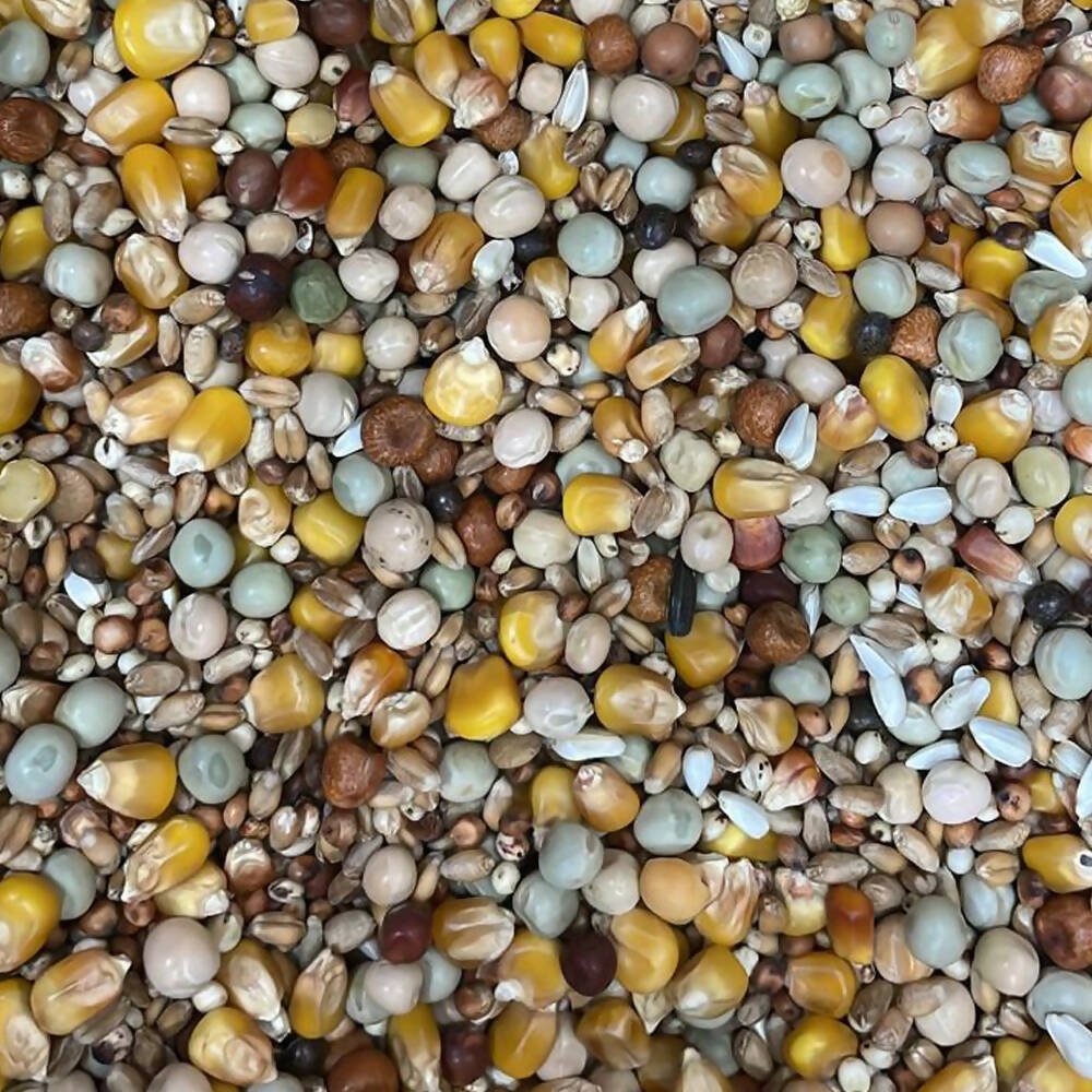 خلطة طعام أوريجنال للحمام من بايرز 25 كجم