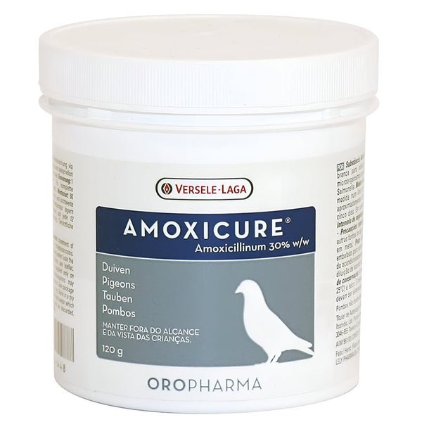 أموكسي كيور لعلاج الالتهابات البكتيرية 120  جرام