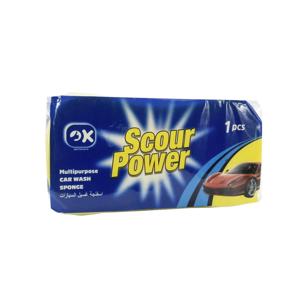 Large car wash sponge