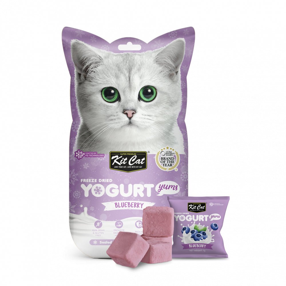 Dried Cat Treat with Berries 10*10g 