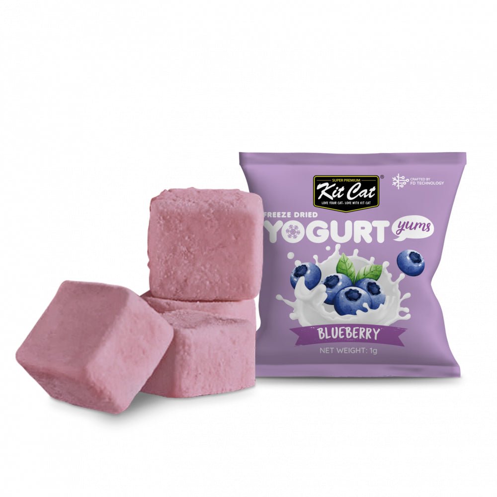 Dried Cat Treat with Berries 10*10g 