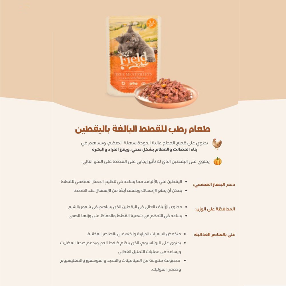 طعام رطب للقطط البالغة بالدجاج واليقطين متكامل وعالي الجودة 85 جرام