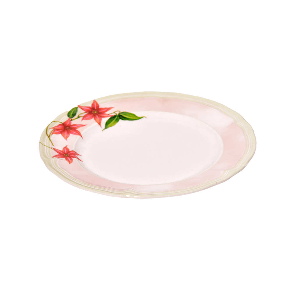 dish – أنية المنزل