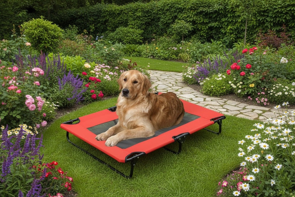 سرير شبكي مريح XL  تهوية مثالية من Gen7Pets Co