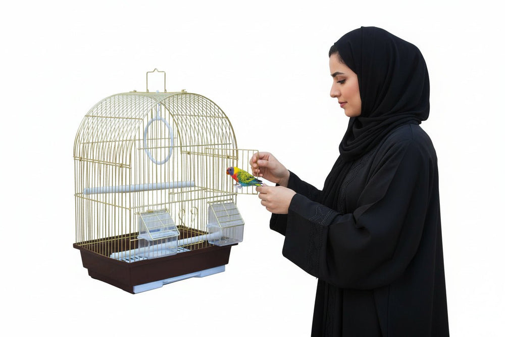 قفص طيور معدني ذهبي للطيور الصغيرة 40 سم