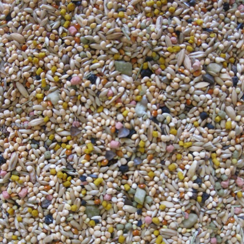 Daily Nature Budgie Mixed Food 800g 