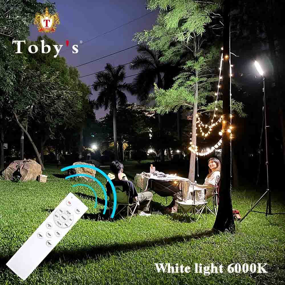 Hook lamp with remote control