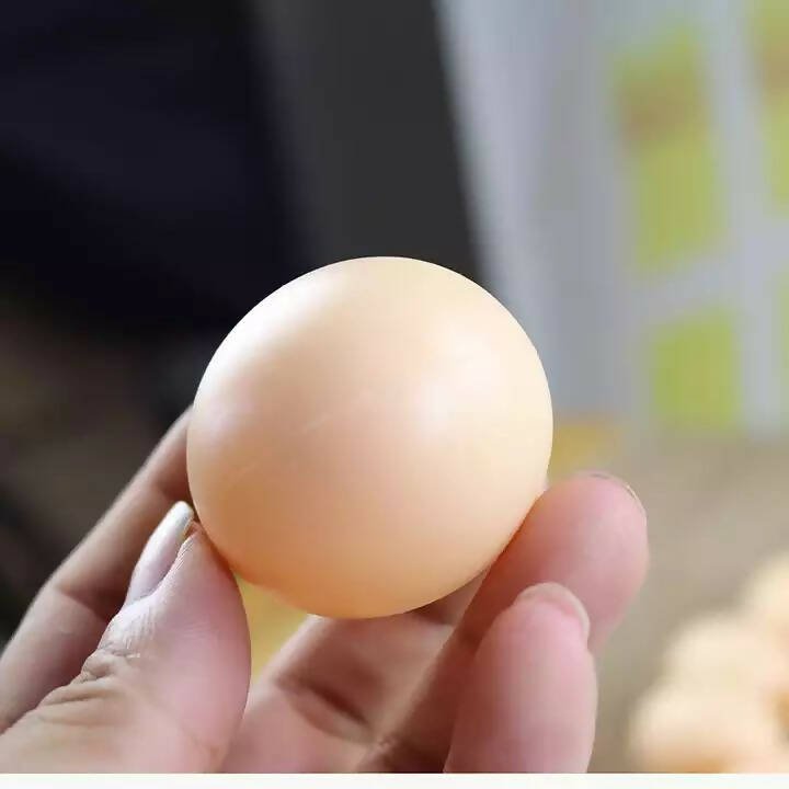 بيض حمام وهمي بلاستيكي لعش الطيور