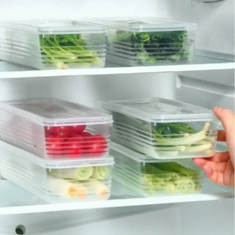 Refrigerator Food Storage Boxes - Rectangular Storage Box for Green Onions, Vegetables, and Cilantro with Lid