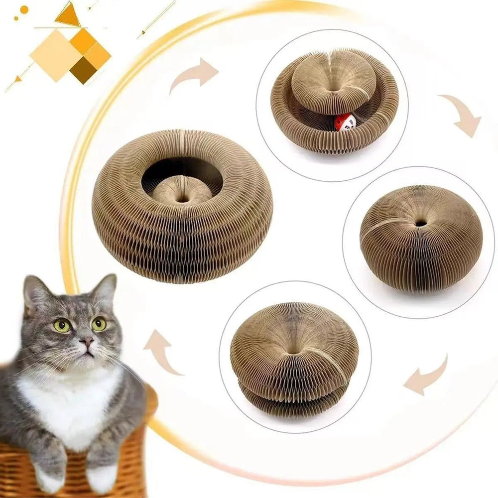 Interactive Cat Ball Set with Cardboard House