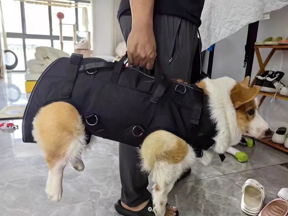 شنطة ظهر سفر للقطط والكلاب