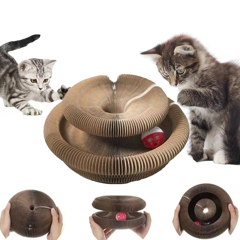 Interactive Cat Ball Set with Cardboard House