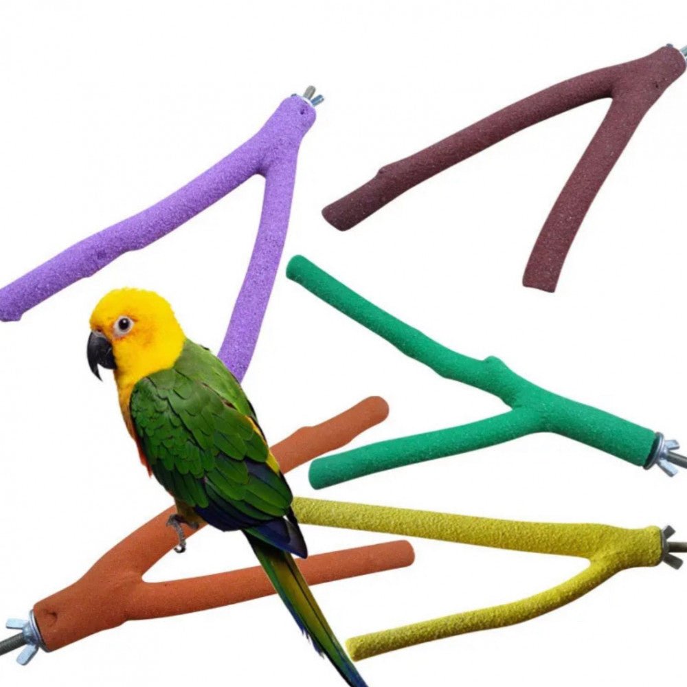 Sand perch and cooler for birds