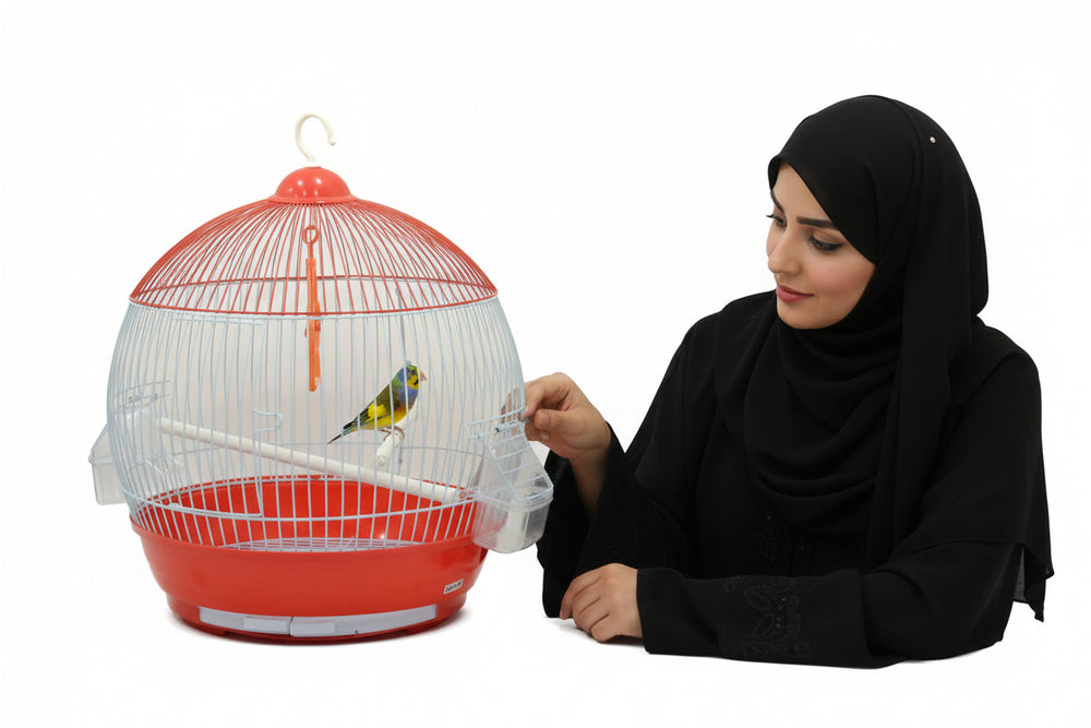 قفص طيور معدني متعدد الالوان