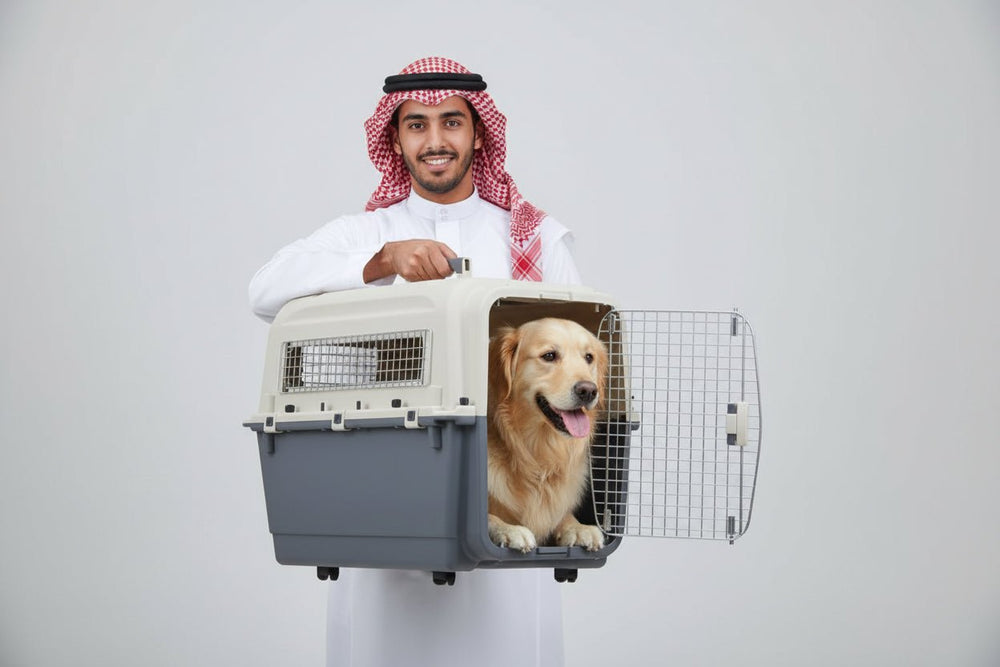 صندوق YD XDB-450E – الحل الأمثل لسفر آمن ومريح للحيوانات