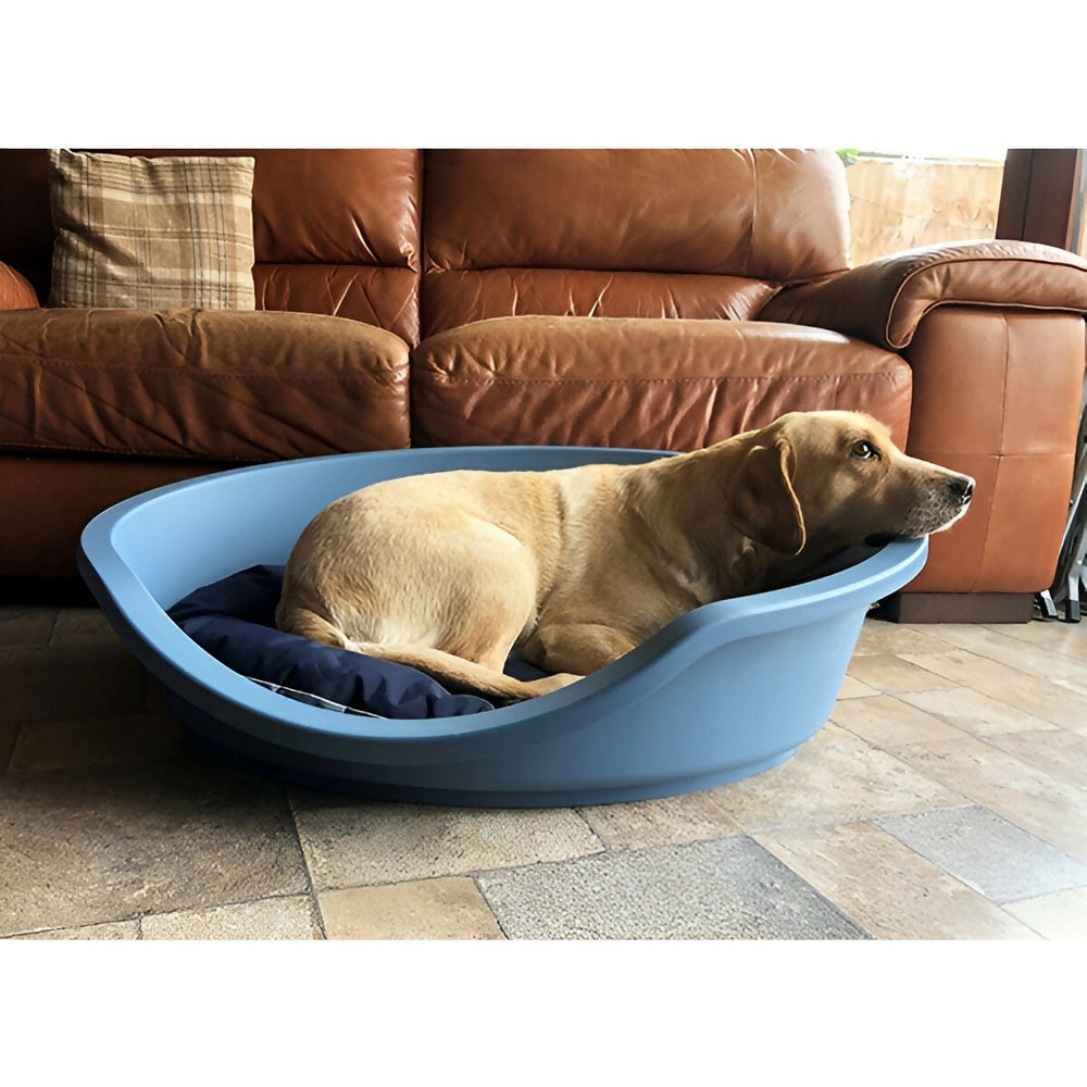Cat and Pet Bed and House with Cotton Mattress