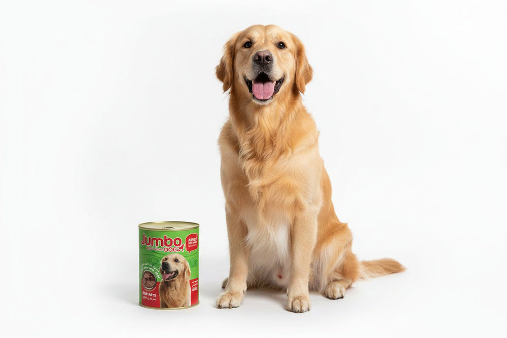 طعام الكلاب – باتيه اللحم البقري 400 جم  Jumbo DOGZ
