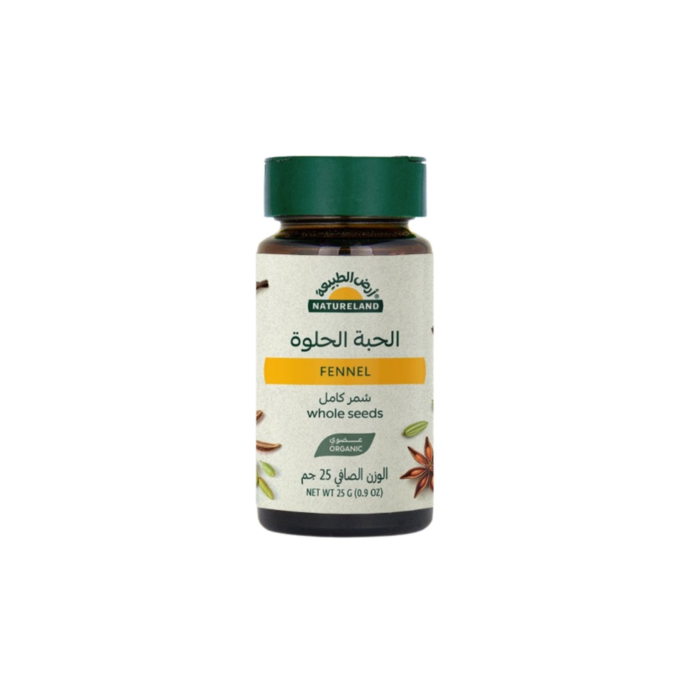 بذور الشمر العضوية الكاملة من أرض الطبيعة 25 جم