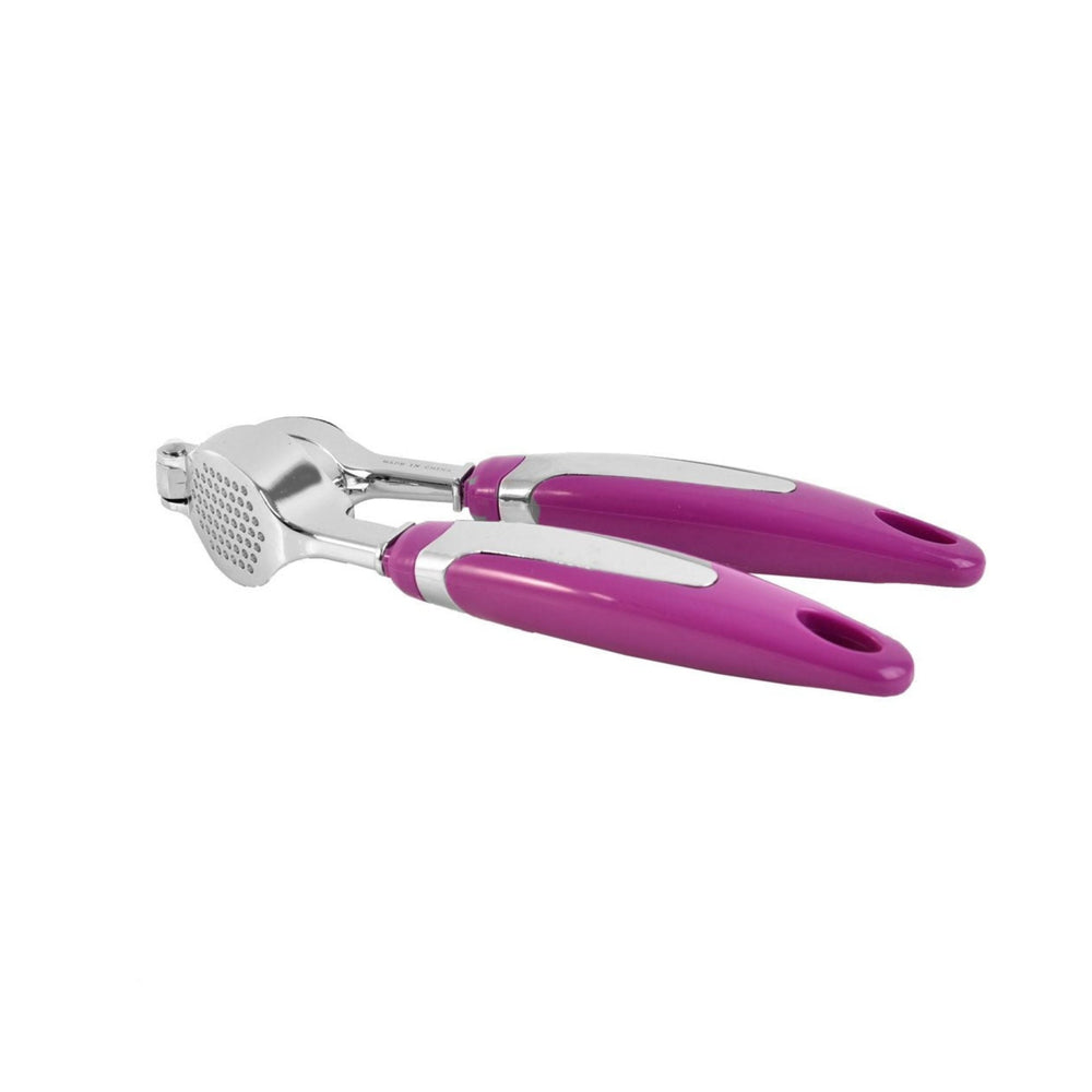 Stainless steel garlic press with plastic handle