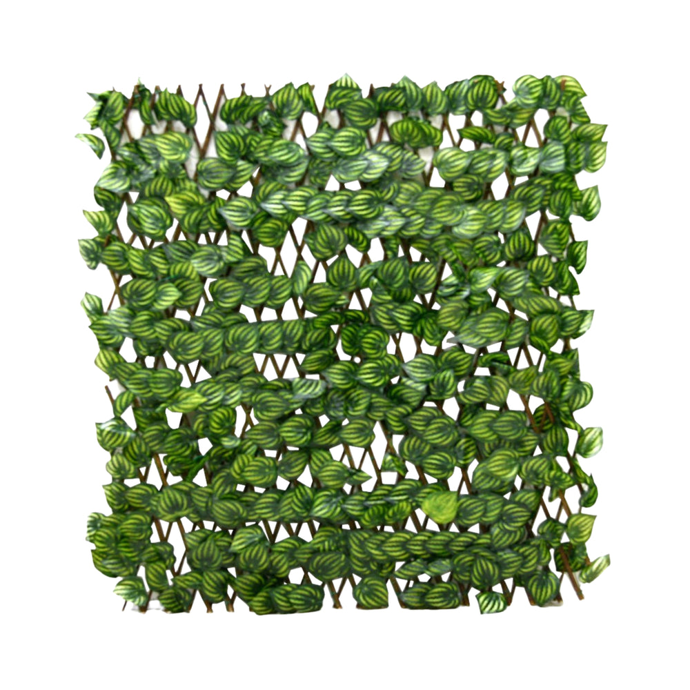 سياج أوراق شجر صناعي قابل للتمدد 200×100 سم