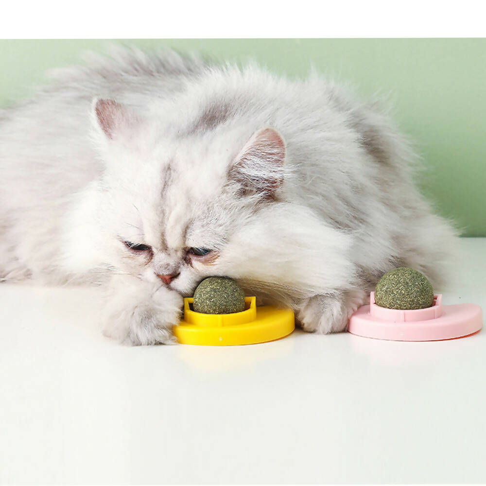 Catnip Ball with Duck Pendant for Cats