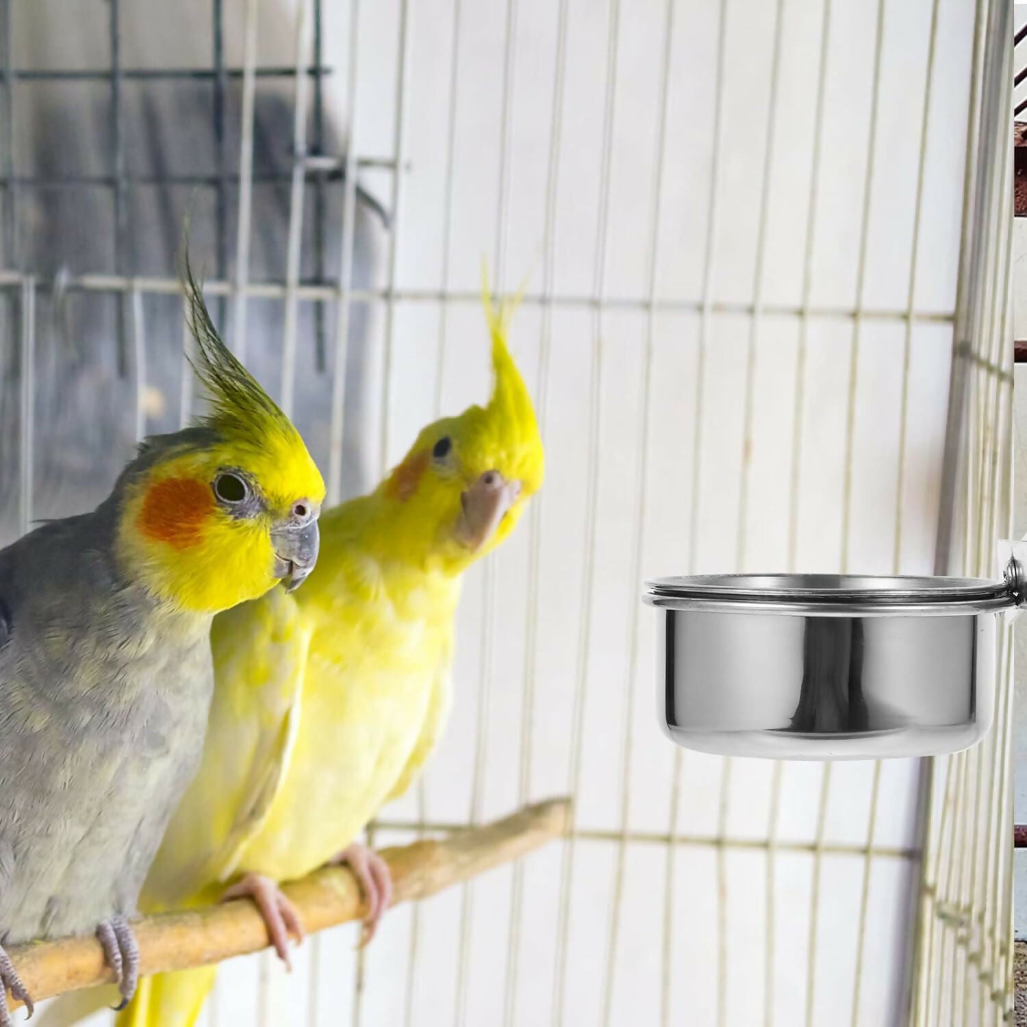 وعاء طعام للطيور من الستانلس ستيل قابل للتعليق