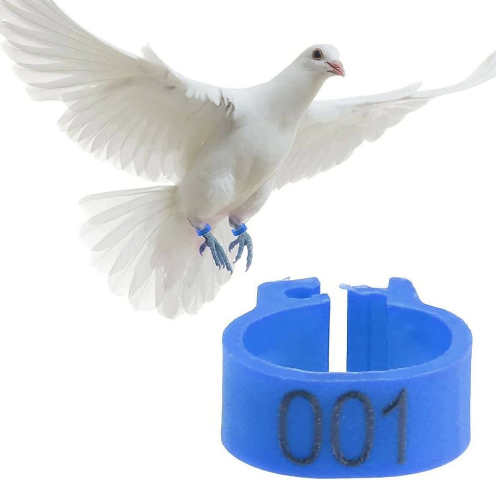 Numbered plastic pigeon rings - 100 pieces 
